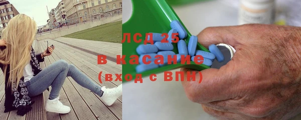 прущие грибы Приозерск