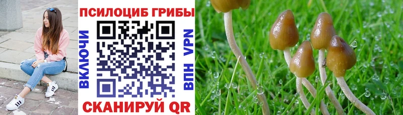 наркотики Бабушкин Галлюциногенные грибы MAGIC MUSHROOMS